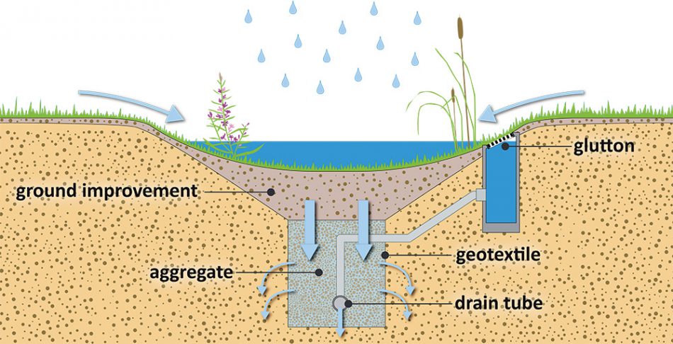 bioswale for rainwater drain
